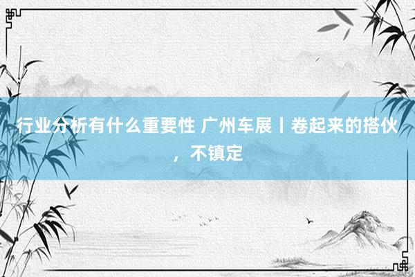 行业分析有什么重要性 广州车展丨卷起来的搭伙，不镇定