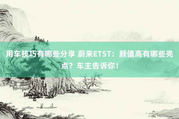 用车技巧有哪些分享 蔚来ET5T：颜值高有哪些亮点？车主告诉你！