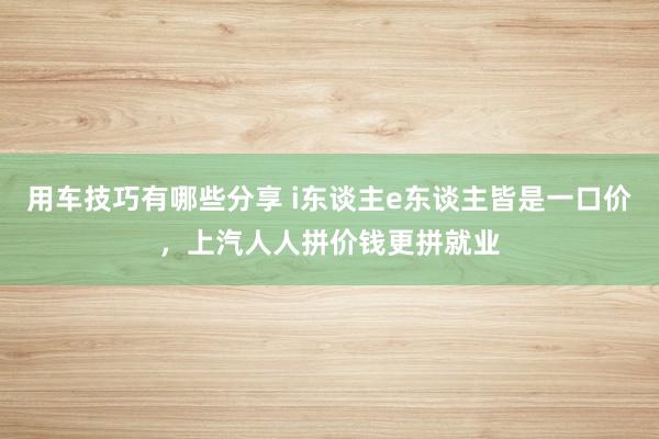 用车技巧有哪些分享 i东谈主e东谈主皆是一口价，上汽人人拼价钱更拼就业