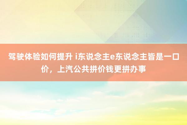 驾驶体验如何提升 i东说念主e东说念主皆是一口价，上汽公共拼价钱更拼办事