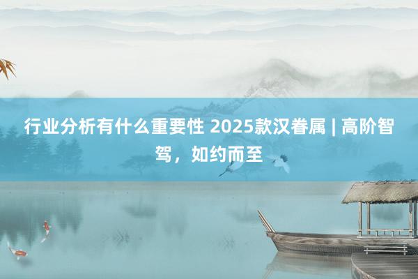 行业分析有什么重要性 2025款汉眷属 | 高阶智驾，如约而至