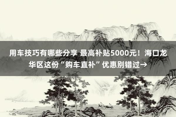 用车技巧有哪些分享 最高补贴5000元！海口龙华区这份“购车直补”优惠别错过→