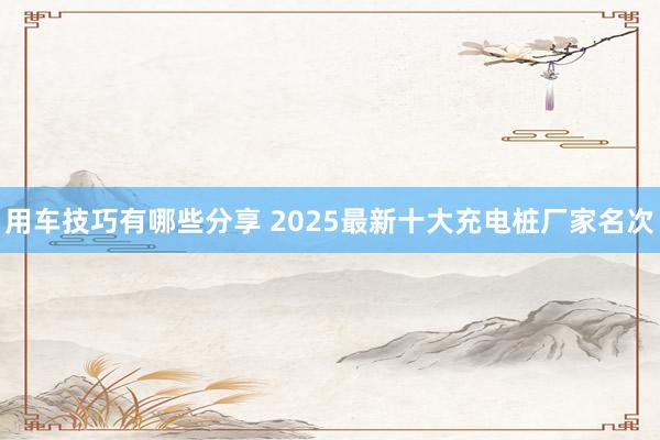 用车技巧有哪些分享 2025最新十大充电桩厂家名次