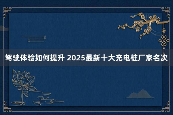 驾驶体验如何提升 2025最新十大充电桩厂家名次