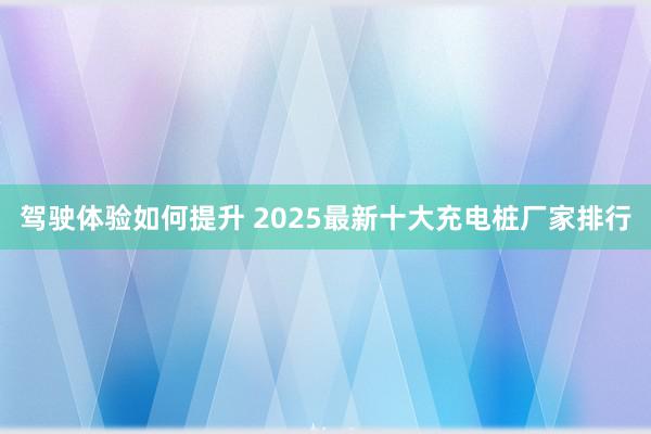 驾驶体验如何提升 2025最新十大充电桩厂家排行