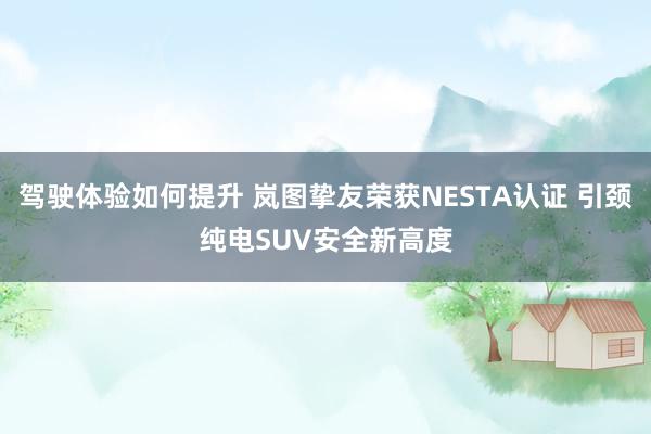 驾驶体验如何提升 岚图挚友荣获NESTA认证 引颈纯电SUV安全新高度