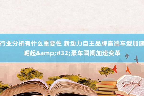 行业分析有什么重要性 新动力自主品牌高端车型加速崛起&#32;豪车阛阓加速变革