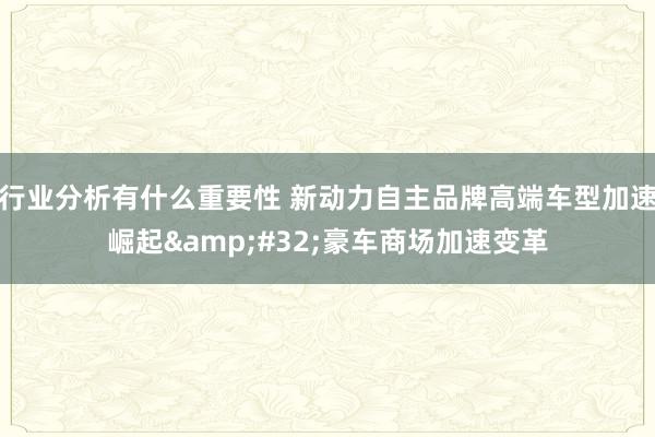 行业分析有什么重要性 新动力自主品牌高端车型加速崛起&#32;豪车商场加速变革