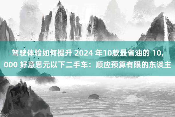 驾驶体验如何提升 2024 年10款最省油的 10,000 好意思元以下二手车：顺应预算有限的东谈主