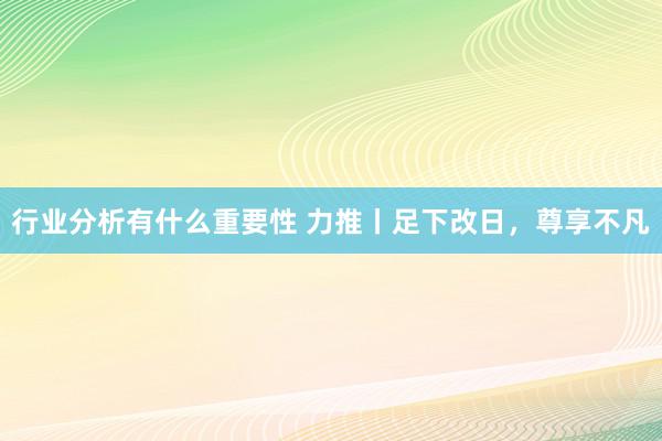 行业分析有什么重要性 力推丨足下改日，尊享不凡