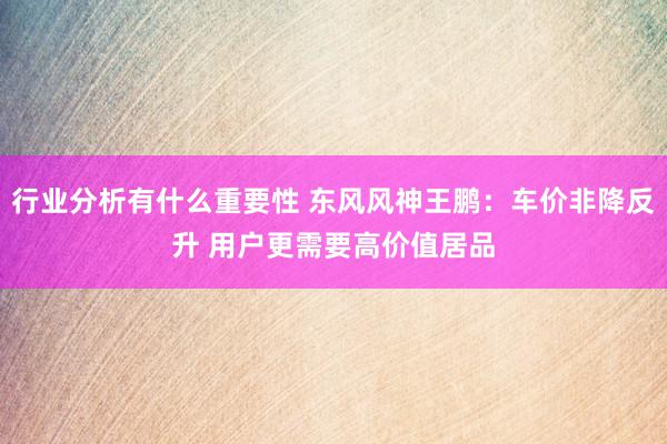 行业分析有什么重要性 东风风神王鹏：车价非降反升 用户更需要高价值居品