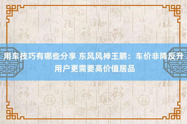 用车技巧有哪些分享 东风风神王鹏：车价非降反升 用户更需要高价值居品