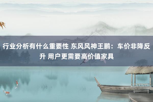 行业分析有什么重要性 东风风神王鹏：车价非降反升 用户更需要高价值家具