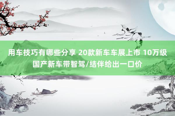 用车技巧有哪些分享 20款新车车展上市 10万级国产新车带智驾/结伴给出一口价