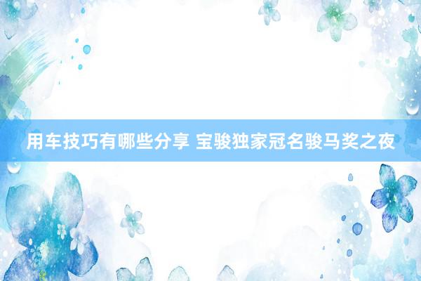 用车技巧有哪些分享 宝骏独家冠名骏马奖之夜