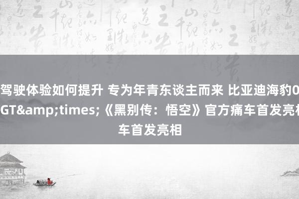 驾驶体验如何提升 专为年青东谈主而来 比亚迪海豹06GT&times;《黑别传：悟空》官方痛车首发亮相