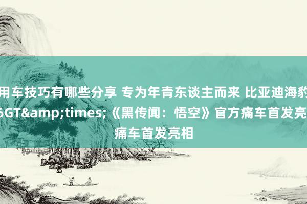 用车技巧有哪些分享 专为年青东谈主而来 比亚迪海豹06GT&times;《黑传闻：悟空》官方痛车首发亮相