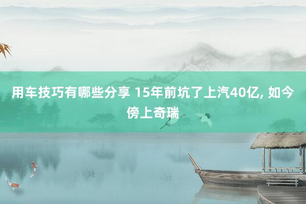 用车技巧有哪些分享 15年前坑了上汽40亿, 如今傍上奇瑞