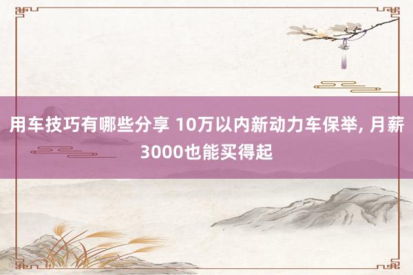 用车技巧有哪些分享 10万以内新动力车保举, 月薪3000也能买得起