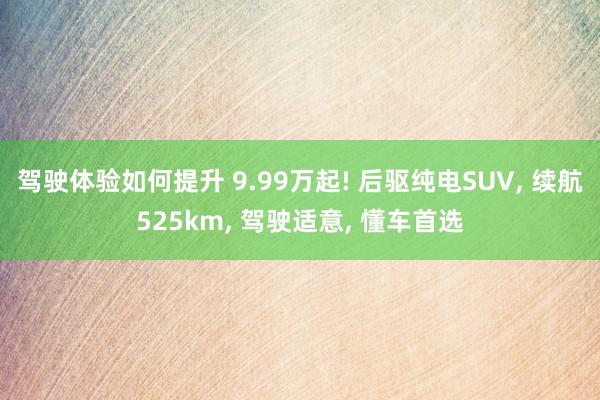 驾驶体验如何提升 9.99万起! 后驱纯电SUV, 续航525km, 驾驶适意, 懂车首选