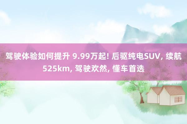 驾驶体验如何提升 9.99万起! 后驱纯电SUV, 续航525km, 驾驶欢然, 懂车首选