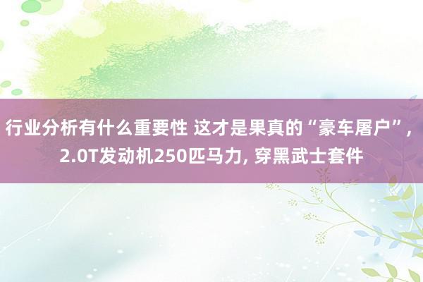 行业分析有什么重要性 这才是果真的“豪车屠户”, 2.0T发动机250匹马力, 穿黑武士套件