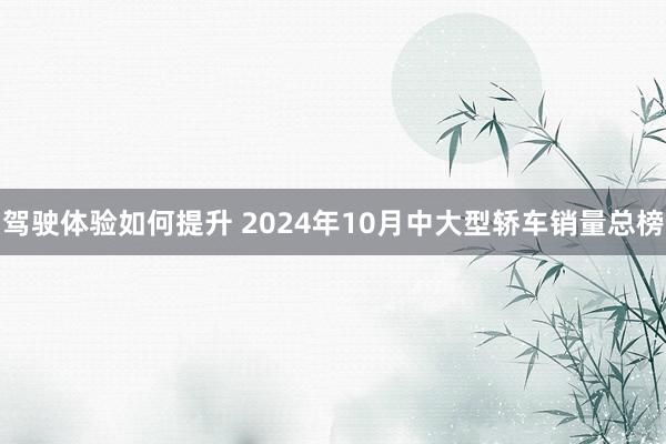 驾驶体验如何提升 2024年10月中大型轿车销量总榜