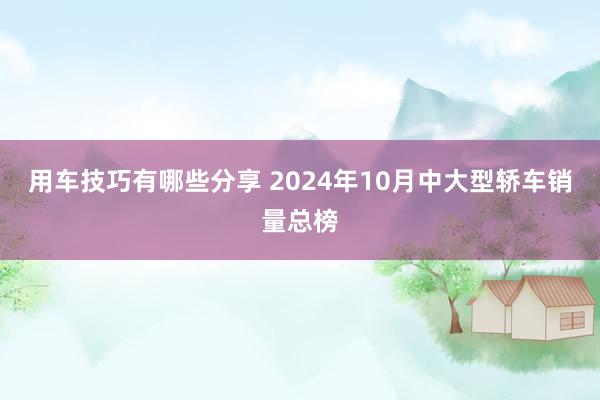 用车技巧有哪些分享 2024年10月中大型轿车销量总榜