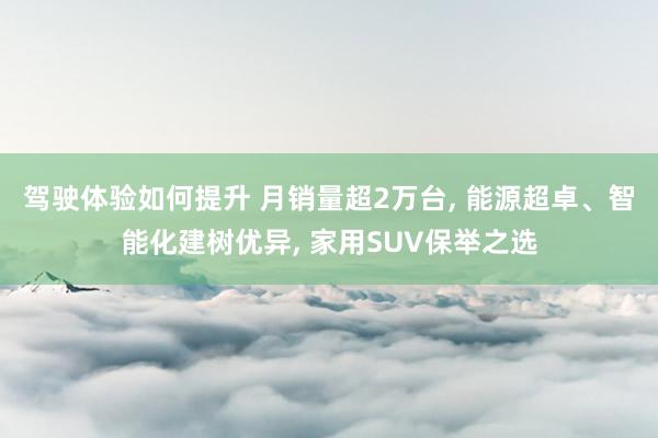 驾驶体验如何提升 月销量超2万台, 能源超卓、智能化建树优异, 家用SUV保举之选