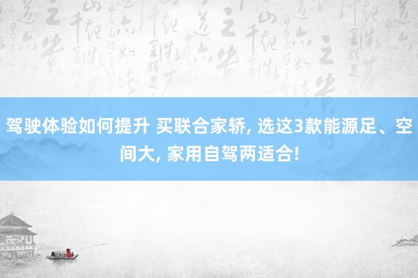 驾驶体验如何提升 买联合家轿, 选这3款能源足、空间大, 家用自驾两适合!