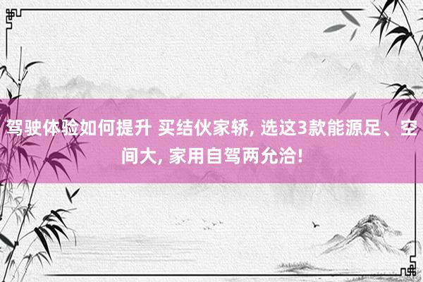 驾驶体验如何提升 买结伙家轿, 选这3款能源足、空间大, 家用自驾两允洽!