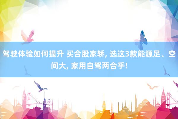 驾驶体验如何提升 买合股家轿, 选这3款能源足、空间大, 家用自驾两合乎!