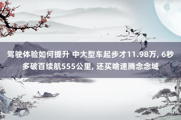 驾驶体验如何提升 中大型车起步才11.98万, 6秒多破百续航555公里, 还买啥速腾念念域