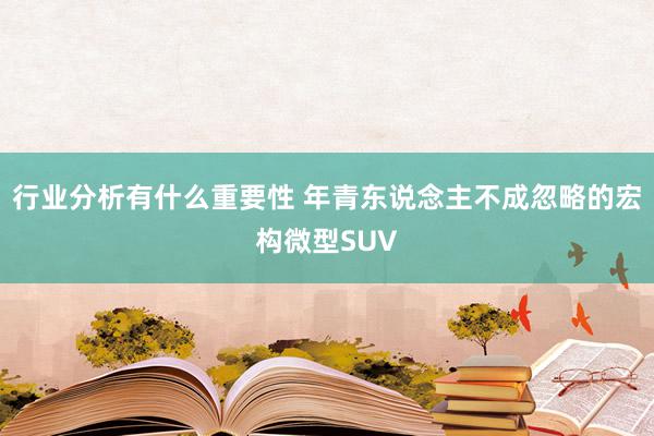 行业分析有什么重要性 年青东说念主不成忽略的宏构微型SUV