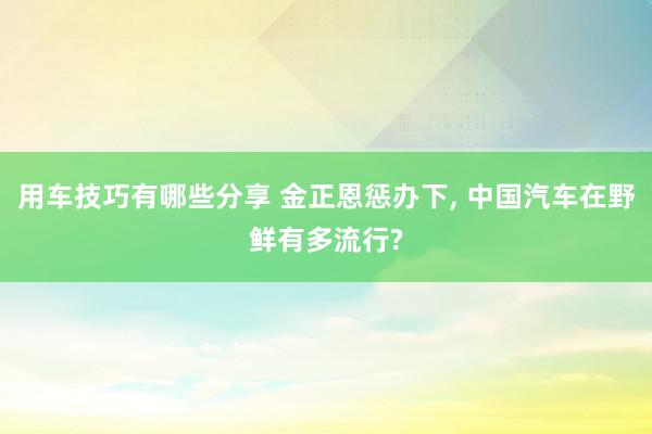 用车技巧有哪些分享 金正恩惩办下, 中国汽车在野鲜有多流行?