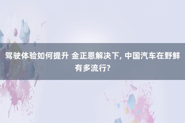 驾驶体验如何提升 金正恩解决下, 中国汽车在野鲜有多流行?