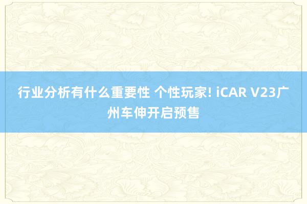 行业分析有什么重要性 个性玩家! iCAR V23广州车伸开启预售