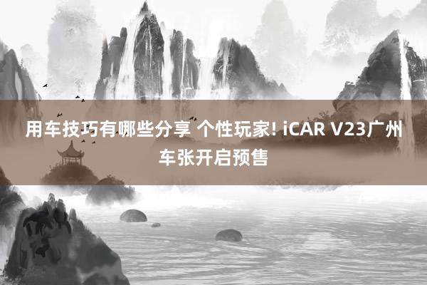 用车技巧有哪些分享 个性玩家! iCAR V23广州车张开启预售