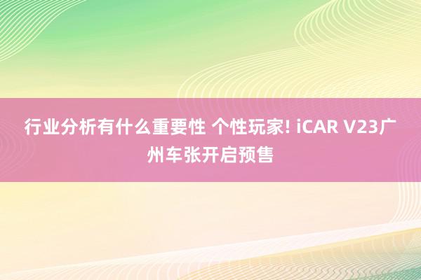 行业分析有什么重要性 个性玩家! iCAR V23广州车张开启预售