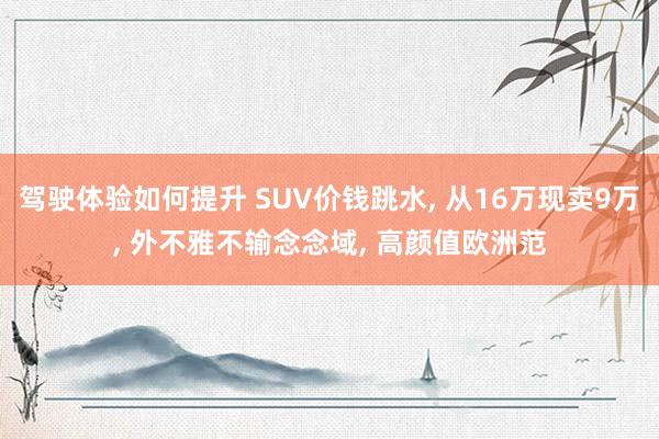 驾驶体验如何提升 SUV价钱跳水, 从16万现卖9万, 外不雅不输念念域, 高颜值欧洲范