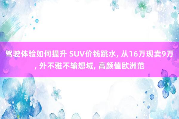 驾驶体验如何提升 SUV价钱跳水, 从16万现卖9万, 外不雅不输想域, 高颜值欧洲范