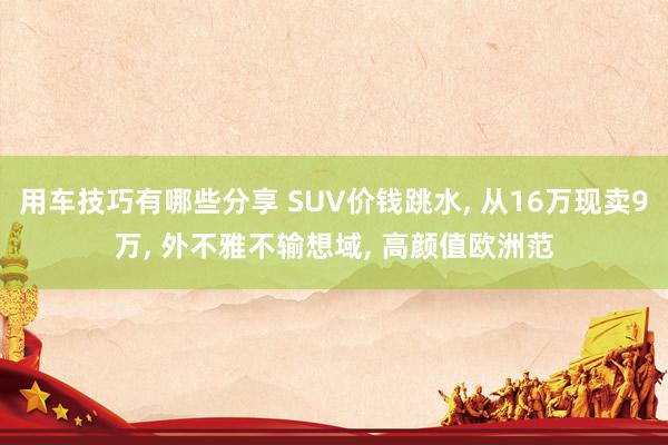 用车技巧有哪些分享 SUV价钱跳水, 从16万现卖9万, 外不雅不输想域, 高颜值欧洲范