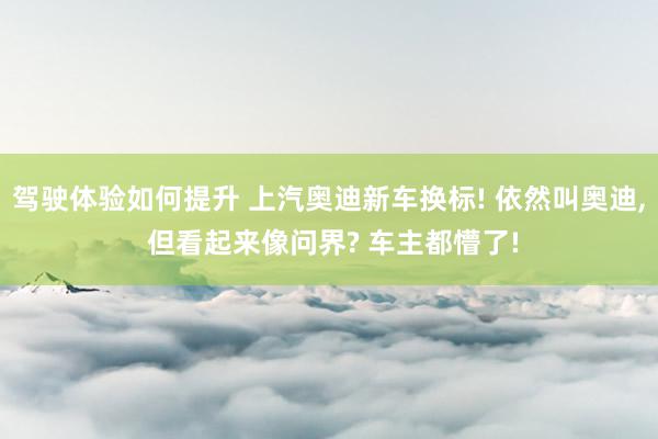 驾驶体验如何提升 上汽奥迪新车换标! 依然叫奥迪, 但看起来像问界? 车主都懵了!