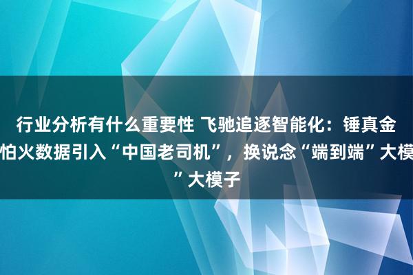 行业分析有什么重要性 飞驰追逐智能化：锤真金不怕火数据引入“中国老司机”，换说念“端到端”大模子