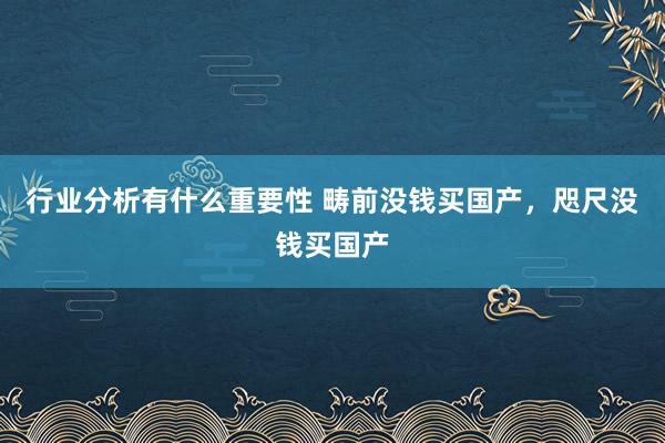 行业分析有什么重要性 畴前没钱买国产，咫尺没钱买国产