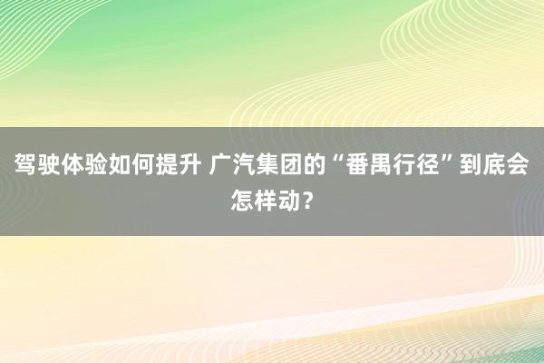 驾驶体验如何提升 广汽集团的“番禺行径”到底会怎样动？