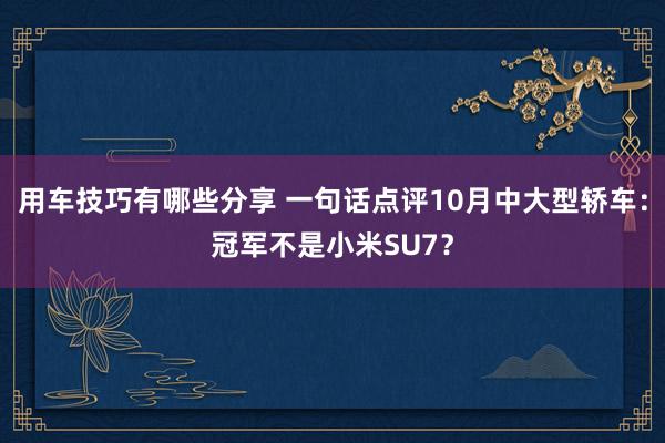 用车技巧有哪些分享 一句话点评10月中大型轿车：冠军不是小米SU7？