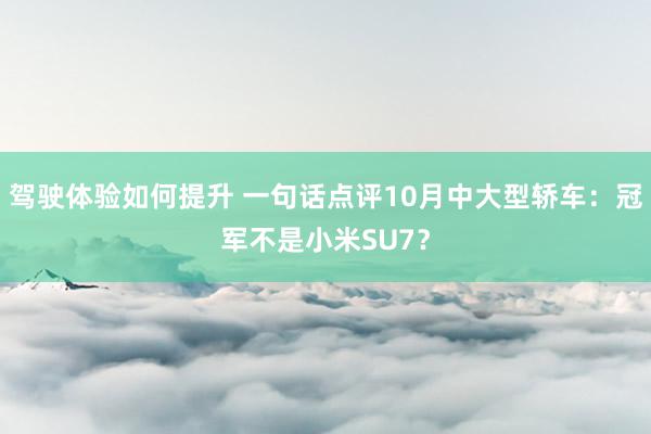 驾驶体验如何提升 一句话点评10月中大型轿车：冠军不是小米SU7？