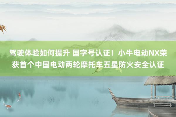 驾驶体验如何提升 国字号认证！小牛电动NX荣获首个中国电动两轮摩托车五星防火安全认证