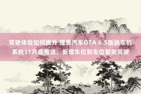 驾驶体验如何提升 理思汽车OTA 6.5版块车机系统11月底推送，新增车位到车位智能驾驶